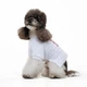 Футболка для собак Pet Fashion Ukraine M - білий - зображення 4