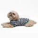 Футболка для собак Pet Fashion Breeze XS-2 - біло-чорний - зображення 5