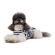 Майка для собак Pet Fashion Tropic XS-2 - біло-синій - зображення 3