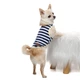 Майка для собак Pet Fashion Tropic S - біло-синій - зображення 5