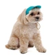 Кепка для собак Pet Fashion Topaz XS - бірюзовий - зображення 5