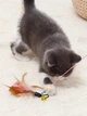 Интерактивная игрушка для котов и кошек удочка для зубов котёнка VMHouse активные игрушки с перьями и колокольчиком дразнилка на палочке белый с розовым (0146-0001) - изображение 6