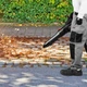 Електрична повітродувка на 1650 Вт. Parkside PPELB 1650 A1 - зображення 8