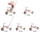 Детский 3-колесный велосипед Milly Mally Zippy 5 в 1 Pink 6380, 5907090700443 - изображение 10