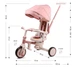 Детский 3-колесный велосипед Milly Mally Zippy 5 в 1 Pink 6380, 5907090700443 - изображение 12