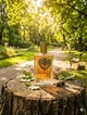 Парфуми Dolce & Gabbana Devotion 100 мл жіночі гурмансько-цитрусовий аромат з лимоном карамеллю та ваніллю - зображення 3