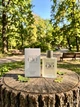 Парфуми Giorgio Armani Acqua Di Giò 100 мл чоловічі освіжаючий морсько-цитрусовий шлейф з жасмином кедром та пачулі - зображення 1