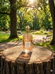 Парфюм Guerlain Mandarine Basilic 75 мл женские с мандарином базиликом и нежным мускусом свежий цитрусовый шлейф - изображение 2