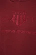 Чоловіче бордове худі TONAL ARCHIVE SHIELD Gant XXL 2037020 - изображение 6