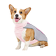 Летний охлаждающий жилет для собак Derby Summer Dog Cooling Vest PA0355-1 Pink, L - изображение 2