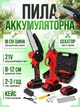 Набор 2в1 цепная пила и секатор с 2 аккумуляторами 21V в кейсе для обрезки деревьев и кустарников UKC MAG 75I - изображение 1