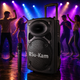 Портативная колонка Su-Kam BT 120D / 212D+ 2 микрофона 12v\220v Su-Kam sp4382 Чорний sp4382 - зображення 3