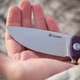 Нож складной Ganzo G769-PL, сталь D2, G10 фиолетовая - изображение 3