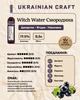 Напиток алкогольный десертный плодовый Witch Water Смородина 0.5 л 17.5% в подарочной упаковке (4820269299436) - изображение 3
