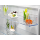 Встраиваемый холодильник Electrolux ENA7TE75S - изображение 10
