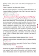 Книга Православний молитвослов. Київський ізвод - изображение 8