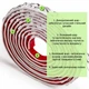 Молдинг Sticker Wall белый с серебром 4950х20х7 мм (SW-00002679) - изображение 3