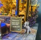 Творческий Конструктор Румбокс 3D DIY Кофейня "Пустая магия" (Размер 30х31х20 см) - изображение 4