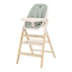 Детский стульчик для кормления 4в1 Carrello Ergo CRL-16701 Elora Green - изображение 1