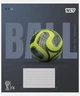 Набор ученических тетрадей Yes Ball А5 24 листа в линейку 20 шт (768682) - изображение 5