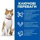 Hill’s SCIENCE PLAN Adult Sterilised Cat Chicken Сухой корм для взрослых стерилизованных кошек, с курицей, 15 кг - изображение 2