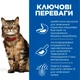 Hill's SCIENCE PLAN Adult Sensitive Stomach&Skin Сухий корм для котів із чутливим травленням та шкірою, з куркою, 7 кг - зображення 2