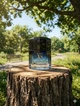 Парфуми Paco Rabanne Pure XS 80 мл чоловічі фужерно-пряний аромат імбир ваніль шкіра білий кедр солодкий шлейф стійкість - зображення 3