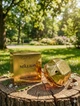 Парфюм Paco Rabanne Lady Million 80 мл для женщин с малиной медом и жасмином цветочно-фруктовый аромат шлейф - изображение 2