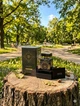 Парфюм Initio Oud for Greatness 100 мл унисекс с удом шафраном и мускусом восточно-древесный нишевый аромат - изображение 2