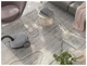 Пылесос с мешком Electrolux 600 Animal EB61A5UG Gray (EB61A5UG) - изображение 5
