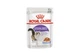 Влажный корм Royal Canin Sterilised wet in jelly для взрослых стерилизованных/кастрированных кошек, 85 г - изображение 1