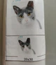 Алмазная мозаика "Котейка", картина стразами, 40х50 см, (Н1-Котейка 2030) - изображение 2