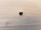 Подложка Retro Arms Piston Head Pad - изображение 1
