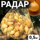 Лук севок Радар, 0,5 кг, Broer - изображение 6