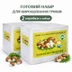 Набор для выращивания королевских шампиньонов дома, грибная коробка с засеянным мицелием, готовый комплект для урожая (2 коробки) - изображение 1