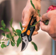 Ножиці для квітів Fiskars Solid SP14 1051601 - изображение 6