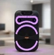 Портативна Bluetooth колонка MS-1201BT-W 50Вт з бездротовим мікрофоном LED підсвіткою USB MicroSD AUX FM радіо акустична система акумуляторна караоке колонка потужний динамік для вечірок дому відпочинку подорожей та свят - зображення 1