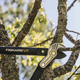 Великий контактний сучкоріз Fiskars PowerGear ™ (L) L77 112580 (1000583) - изображение 5