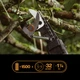 Акумуляторний телескопічний сучкоріз Fiskars eTree Pruner™ (1082340) без акумулятора - изображение 3