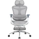 Крісло офісне Sihoo Doro C300 Pro Mesh Білий with footrest (Doro-C300-Pro-M102-JT) - изображение 1