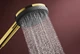 Ручной душ hansgrohe Raindance Alive Select S 3jet EcoSmart Polished Gold Optic (24511990) - изображение 4