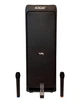 Акустическая система ZPX 400Вт 2×8" динамики Bluetooth колонка с микрофонами для вечеринок и караоке - изображение 1
