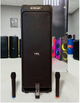 Акустическая система ZPX 400Вт 2×8" динамики Bluetooth колонка с микрофонами для вечеринок и караоке - изображение 3