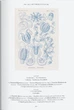 The Art and Science of Ernst Haeckel - Райнер Віллманн, Юлія Восс (9783836584289) - зображення 11