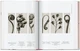 Karl Blossfeldt. The Complete Published Work. 45th Edition - Hans Christian Adam (9783836598514) - obraz 4
