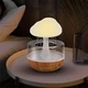 Нічник-зволожувач Cloud Rain Humidifier з ефектом дощу, LED-підсвіткою й USB-живленням - зображення 1