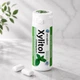 Жевательная резинка с ксилитом Miradent Xylitol Spearmint Кучерявая мята, 30 штук - изображение 1