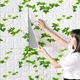 Самоклеющаяся декоративная 3D панель под белый кирпич с плющом 700x770x3мм - изображение 4