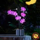 Светодиодный набор BrickBling 10311 Orchid Фиолетовый USB и батарейное питание Светится в темноте (P49601) - изображение 4