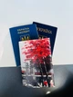 Обкладинка на паспорт- книжку шкіра закордонний паспорт ,біометричний ,військовий квиток париж (арт. 870) - зображення 3